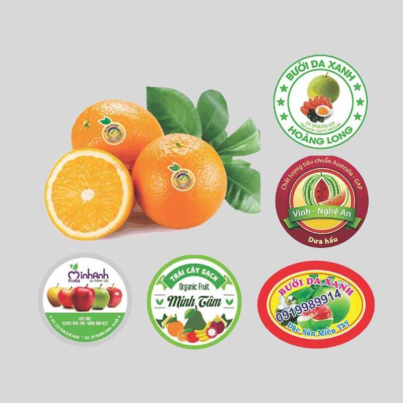 In tem nhãn trái cây